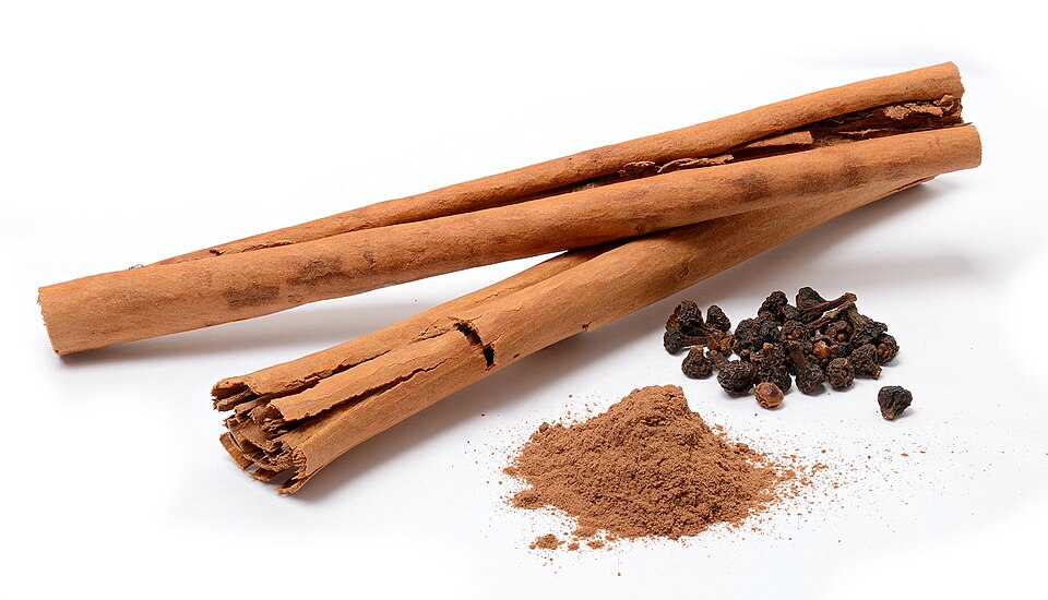 Tinh dầu Quế (lá) (Cinnamomum verum) — minh hoạ thực vật
