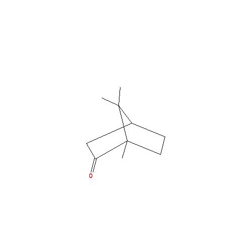 Cấu trúc hoá học của Camphor · Chemical structure of Camphor
