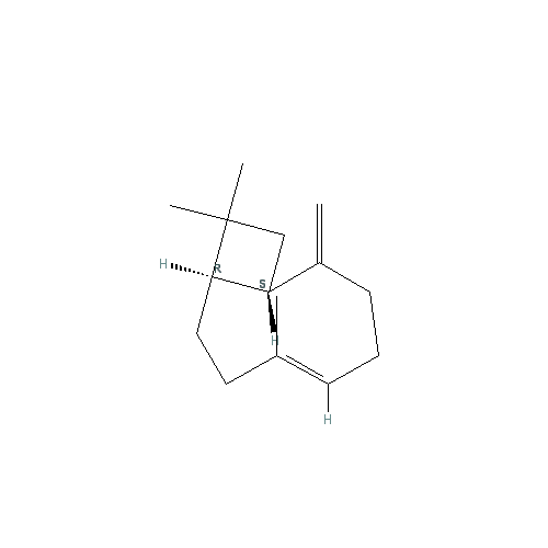 Cấu trúc hoá học của β-Caryophyllene · Chemical structure of β-Caryophyllene
