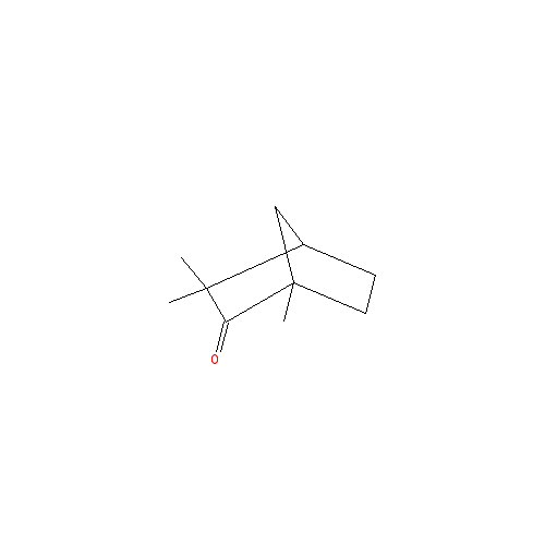 Cấu trúc hoá học của Fenchone · Chemical structure of Fenchone