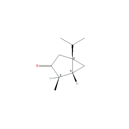 Cấu trúc hoá học của Thujone · Chemical structure of Thujone