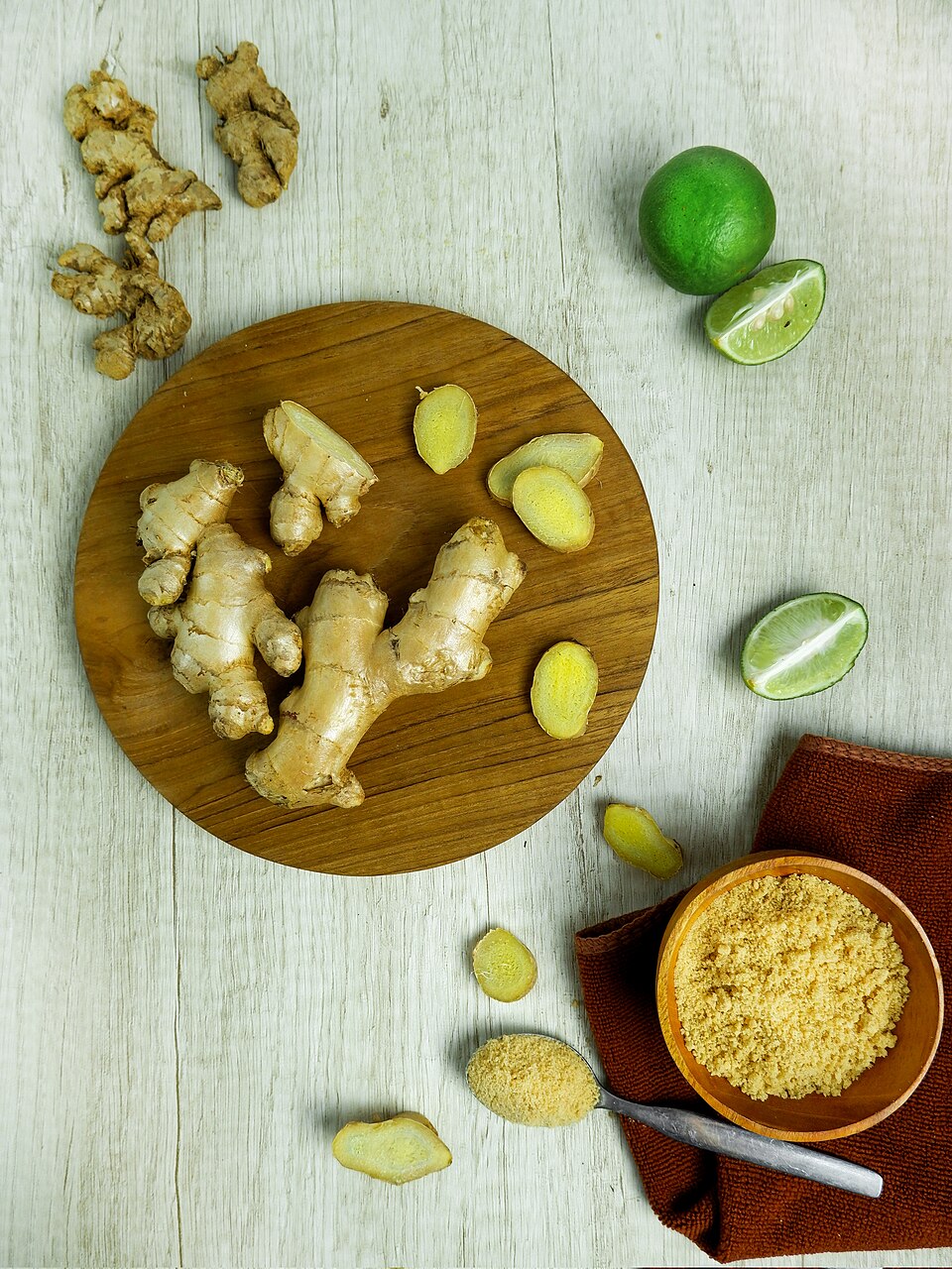 Tinh dầu Gừng (Zingiber officinale) — minh hoạ thực vật